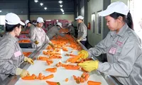 Improved processing industry helps enhance agricultural products