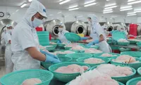 US reduces import duties on Vietnamese tra and basa fish