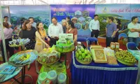 Festival seeks to boost tourism in HCMC and Mekong Delta region