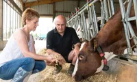 Comprehensive specialties solutions to enhance animal performance