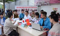 Vietnam’s youth unemployment rate may double due to COVID-19: report