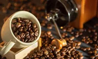 Conference discusses opportunity for Vietnam to become leading coffee market