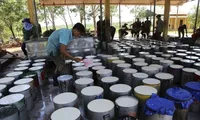 Vietnam’s rubber export to US sees sharp surge