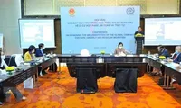 Vietnam reviews implementation of Global Compact for Safe, Orderly and Regular Migration