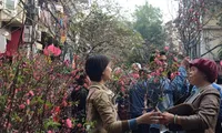 Spring fair to bring festive Tet atmosphere to Hanoi’s Old Quarter