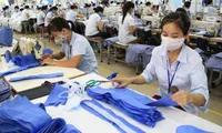 Over 8,000 firms newly established in February