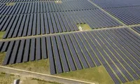 Vietnam among top three leading nations in renewable energy shift in Asia Pacific