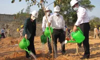 Nationwide response to tree planting festivals