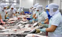 Sustainably developing the fisheries sector