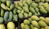 Vietnam is world’s 13th largest mango producer