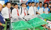 Vietnam aims at US$4 billion of shrimp export revenue in 2021