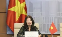 Vietnam attends IPU standing committee’s meeting on fighting online child sexual abuse