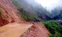 Tropical depression shocks at level 8 over the waters of Quang Ninh Province