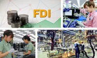 Green economic development crucial to FDI attraction