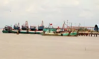 Ben Tre invests in building ports, storm shelters for fishing vessels