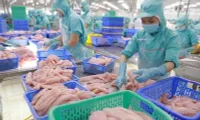 Vietnam’s aquatic product exports rake in 9.39 billion USD in 10 months