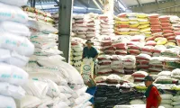 Fertiliser exports set new record