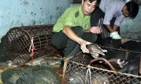 Education for Nature Vietnam issues 2021 law enforcement responsiveness report
