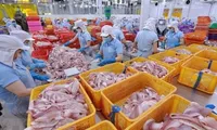 Agro-forestry-fishery exports in 11 months outpace last year’s record