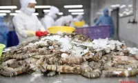 Promoting seafood export achievements