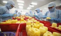 Vietnamese firms making relatively good use of EVFTA: survey