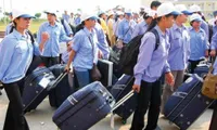 More attention needed to ensure rights of Vietnamese workers abroad