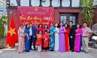 Vietnamese community in Chile celebrates Tet festival