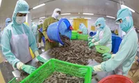 Virtual workshop seeks ways to facilitate Vietnam’s aquatic exports to RCEP markets