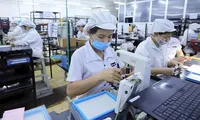 Vietnam needs to fine-tune its foreign investment attraction policy