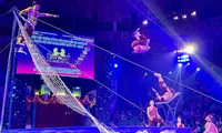 Vietnamese circus affirms its position in international arena