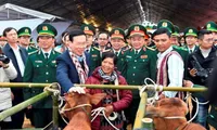 Senior Party official presents Tet gifts to poor people in Thua Thien Hue