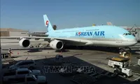 Korean Air allowed to fly to Lam Dong