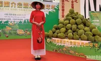 Vietnamese fruits introduced at festival in China’s Tianjin city