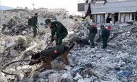 Vietnam announces 200,000 USD aid to Turkey, Syria after earthquake