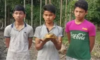 Rescue rare species of tortoise in India and Vietnam