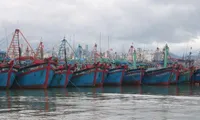 Vietnam Fisheries Trade Union raises fishermen's awarness on combatting IUU fishing