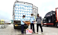 Over 2,000 tonnes of early maturing lychee exported through Lao Cai border gate