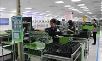 Vietnam - powerful magnet for foreign direct investment