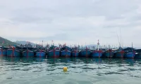 EC delegation recognises Vietnam's anti-IUU fishing efforts: official