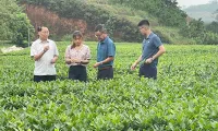 Forum discusses solutions to promote sustainable agricultural development