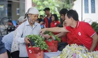 Int'l Red Cross to hold 11th Asia-Pacific Regional Conference in Hanoi next month