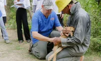 Boehringer Ingelheim's animal health marks 15 years of success in Vietnam