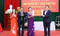 Bac Ninh: Co Mieu villagers celebrate great national solidarity festival