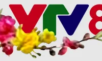 New Year 2024 special programs on VTV8