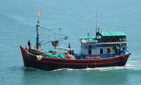 Quang Tri tightens fishing vessel monitoring to fight IUU fishing