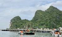 Ha Long authorities re-arrange docking areas for water vehicles