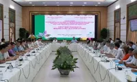 Dong Thap, China's Guangxi eye stronger trade ties