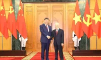 Vietnamese, Chinese Party leaders exchange Lunar New Year greetings