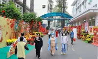 Flower streets bring spring to patients in HCM City