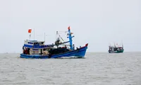 Khanh Hoa shows high determination in IUU fishing combat